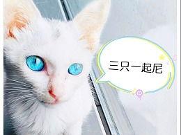 重阳节四格漫画,漫画四格演绎敬老情谊